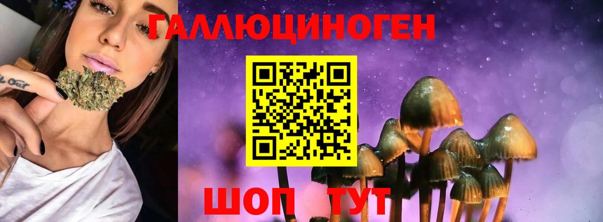 Галлюциногенные грибы Magic Shrooms  Вход с VPN  Малоярославец 